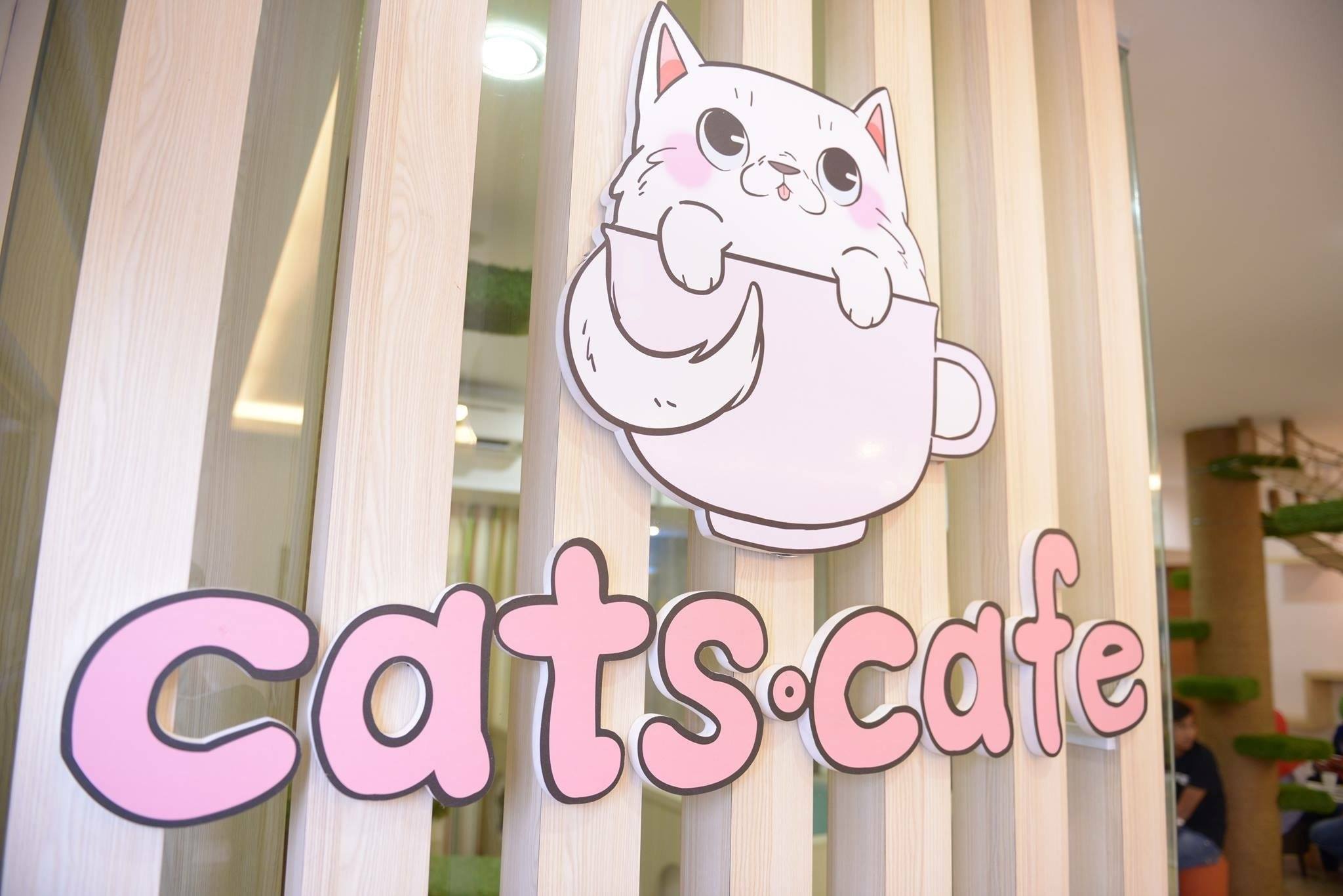 CATS Cafe (JB) Cats At Their Sanctuary tuft + paw