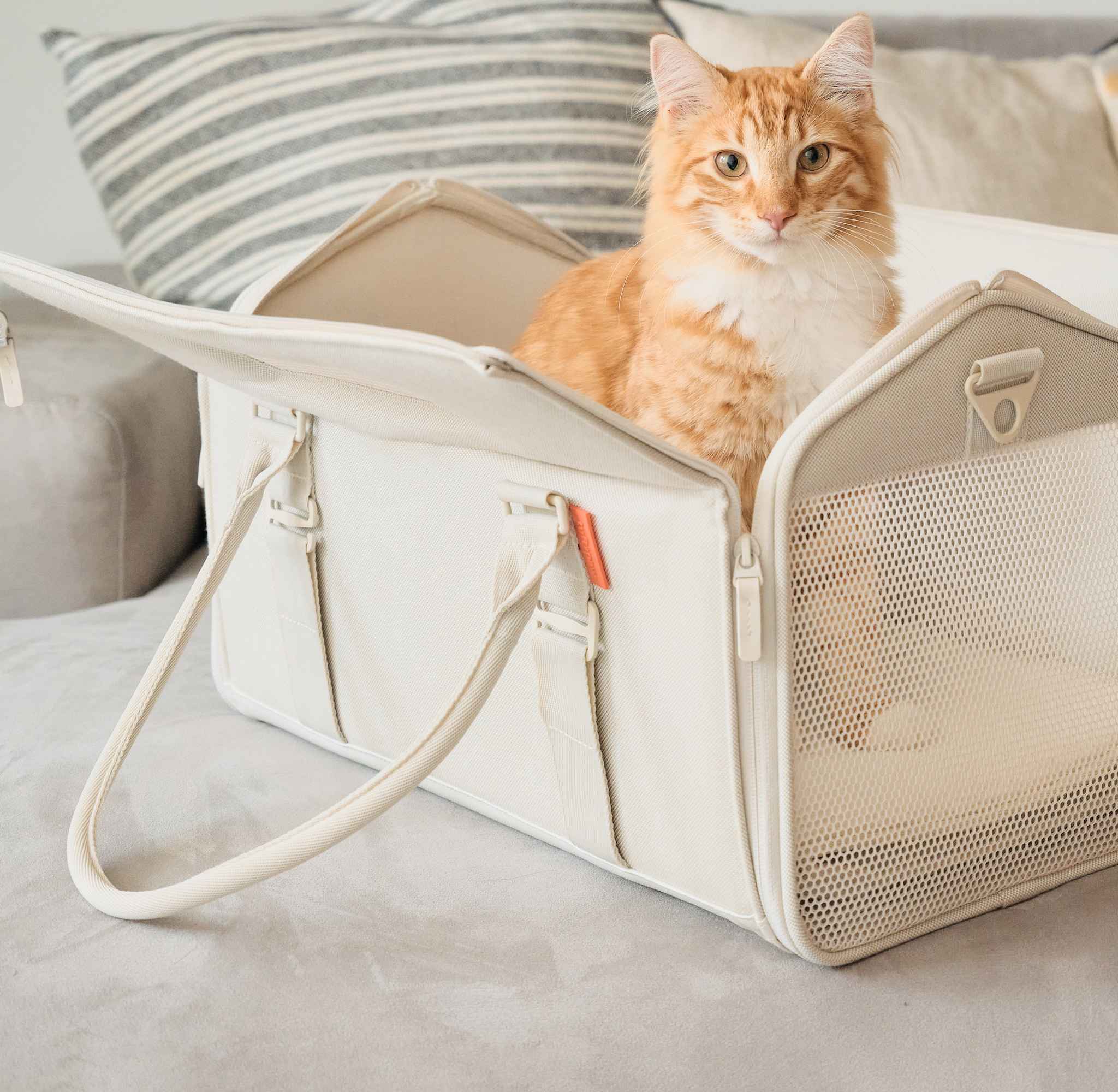 A Guide for Choosing the Best Cat Carrier