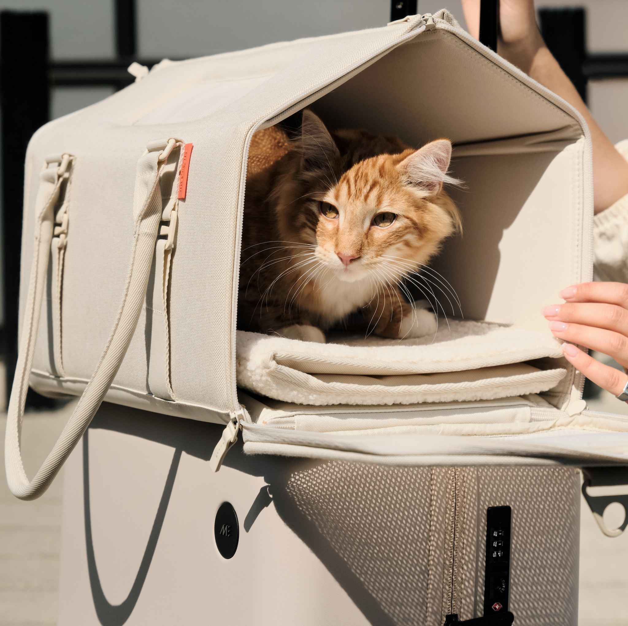 Soft Sided Pet Carrier: Flexible Height