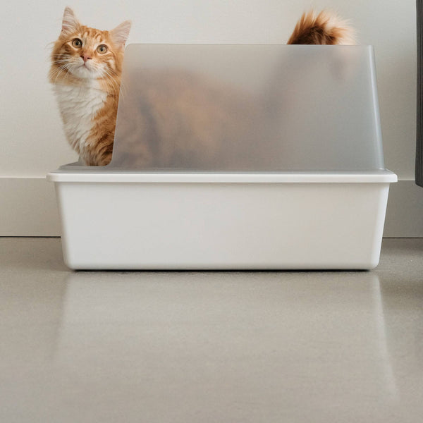 Best Cat Litter Boxes on Amazon tuft + paw