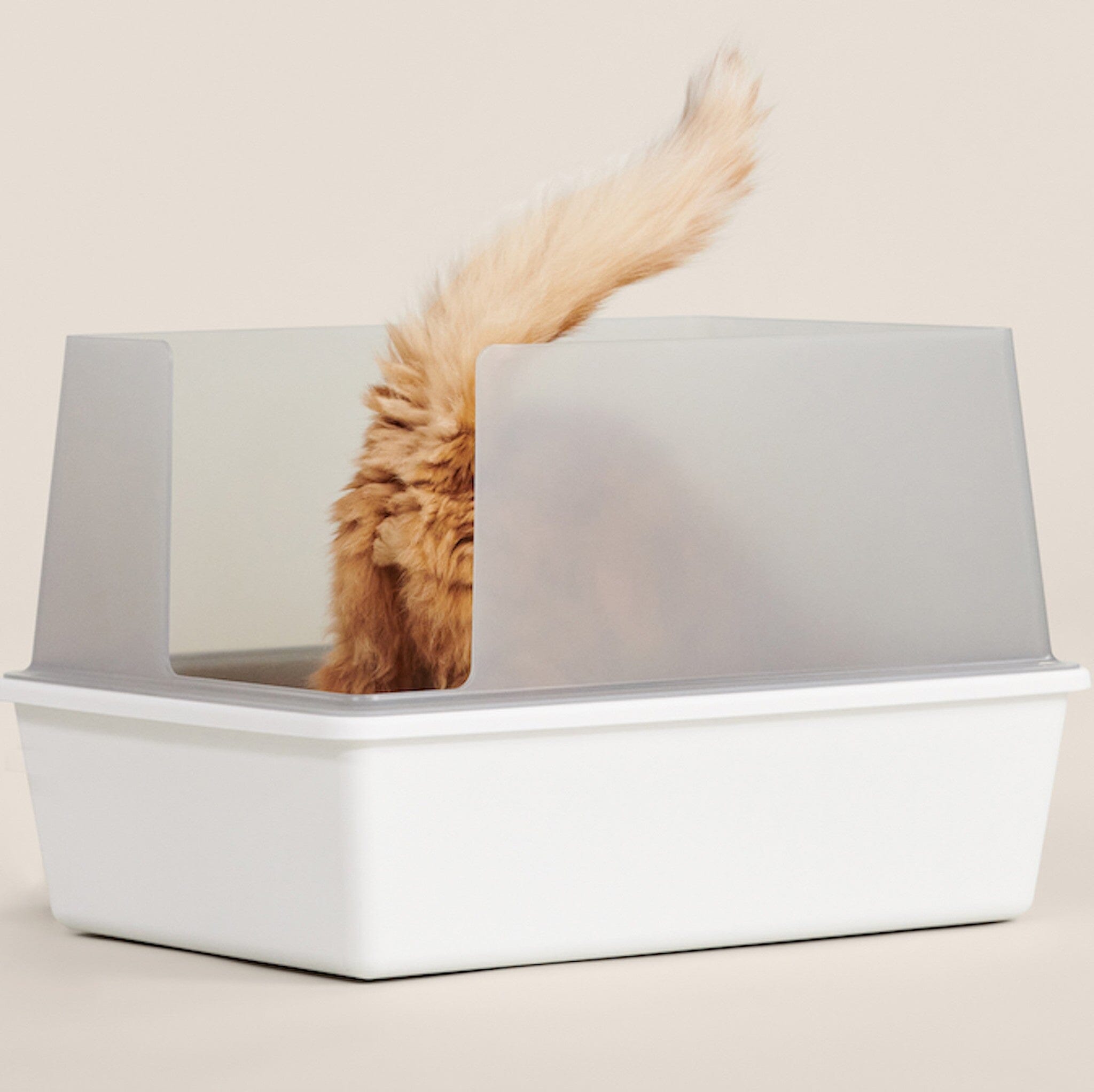 The 5 Best Cat Litter Boxes of 2024