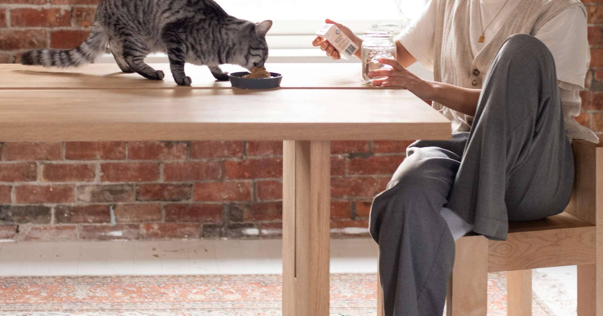 5 Best Wet Cat Foods of 2024