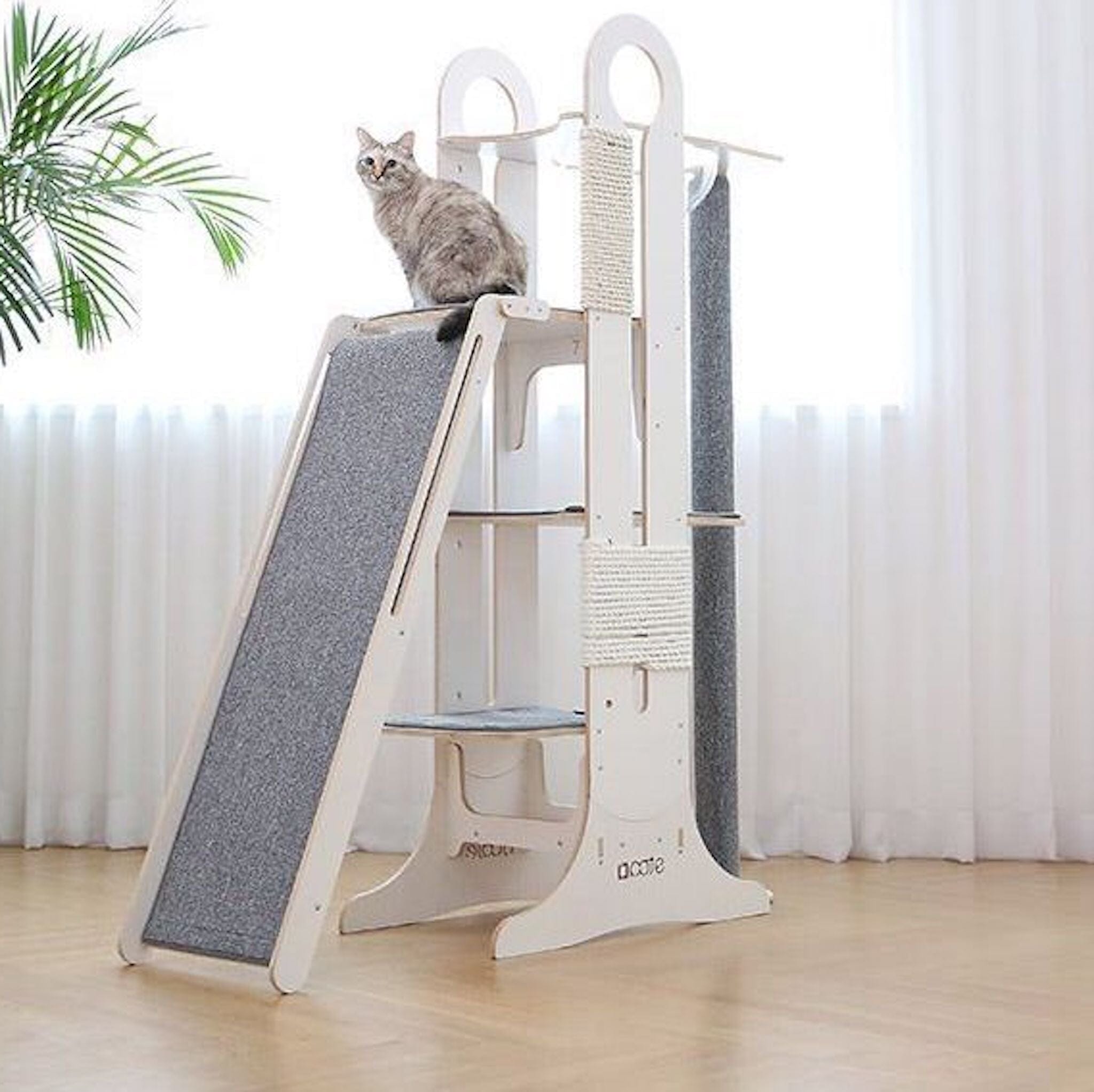 Carpet Cat Trees: Everything You Need to Know – tuft + paw
