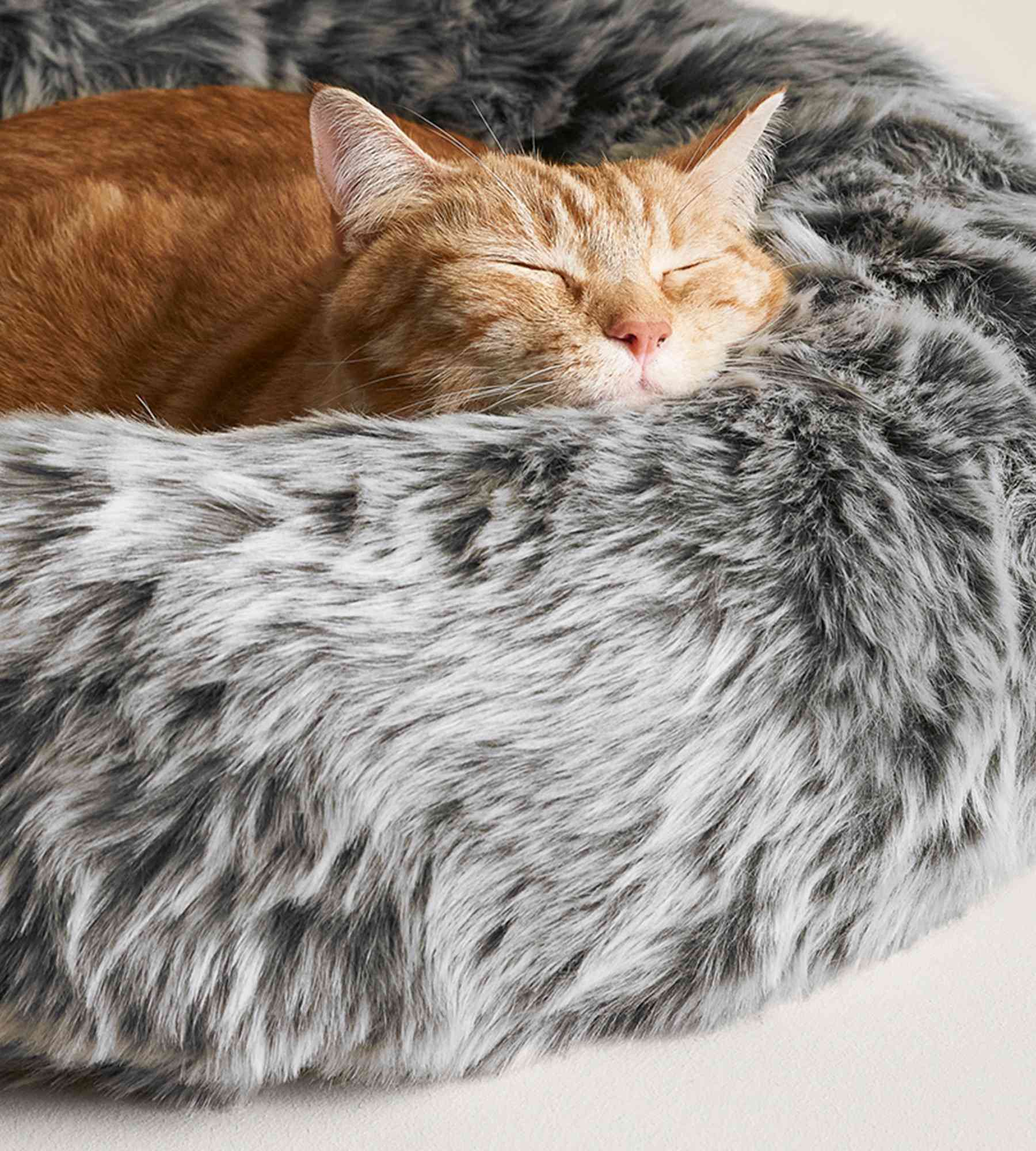 2024 Cat Lovers Gift Guide: 40+ Unique Gifts for Cat Lovers – tuft + paw