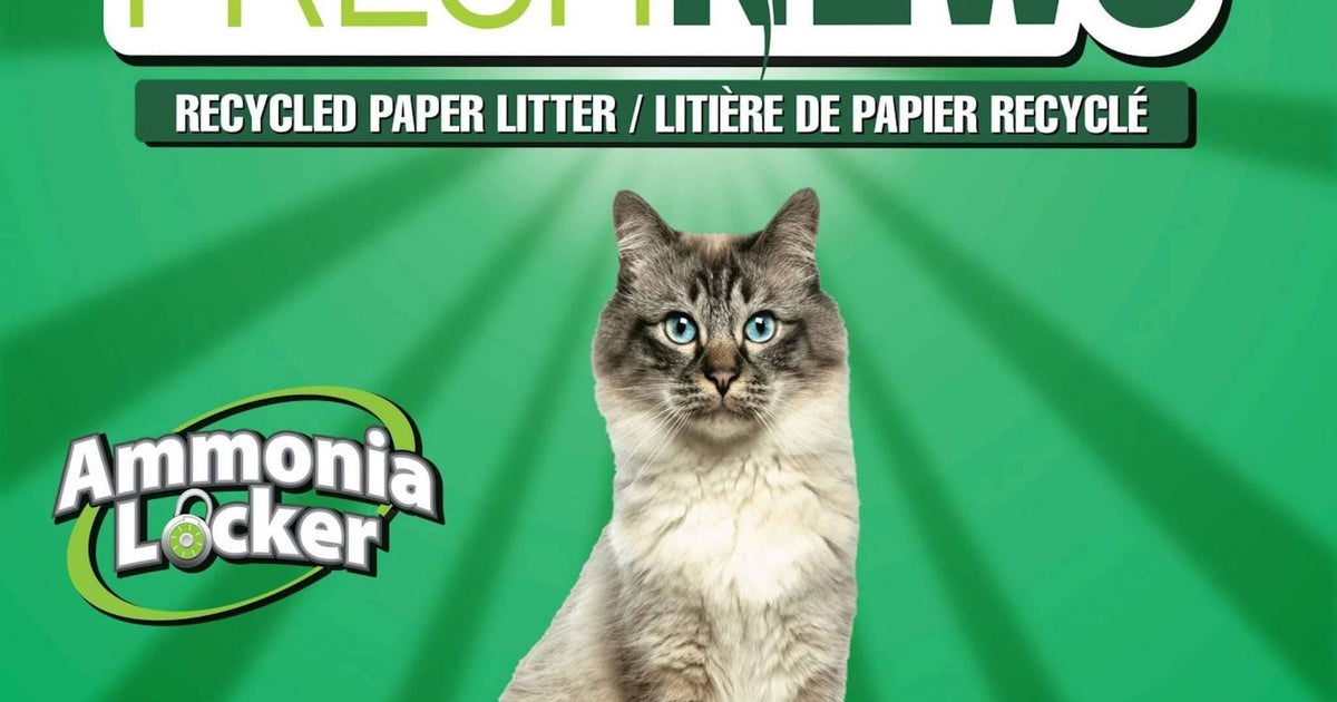 Fresh News Litière originale en granulés en papier recyclé, 5,4 kg Fresh News Litière originale en granulés en papier recyclé, 5,4 kg