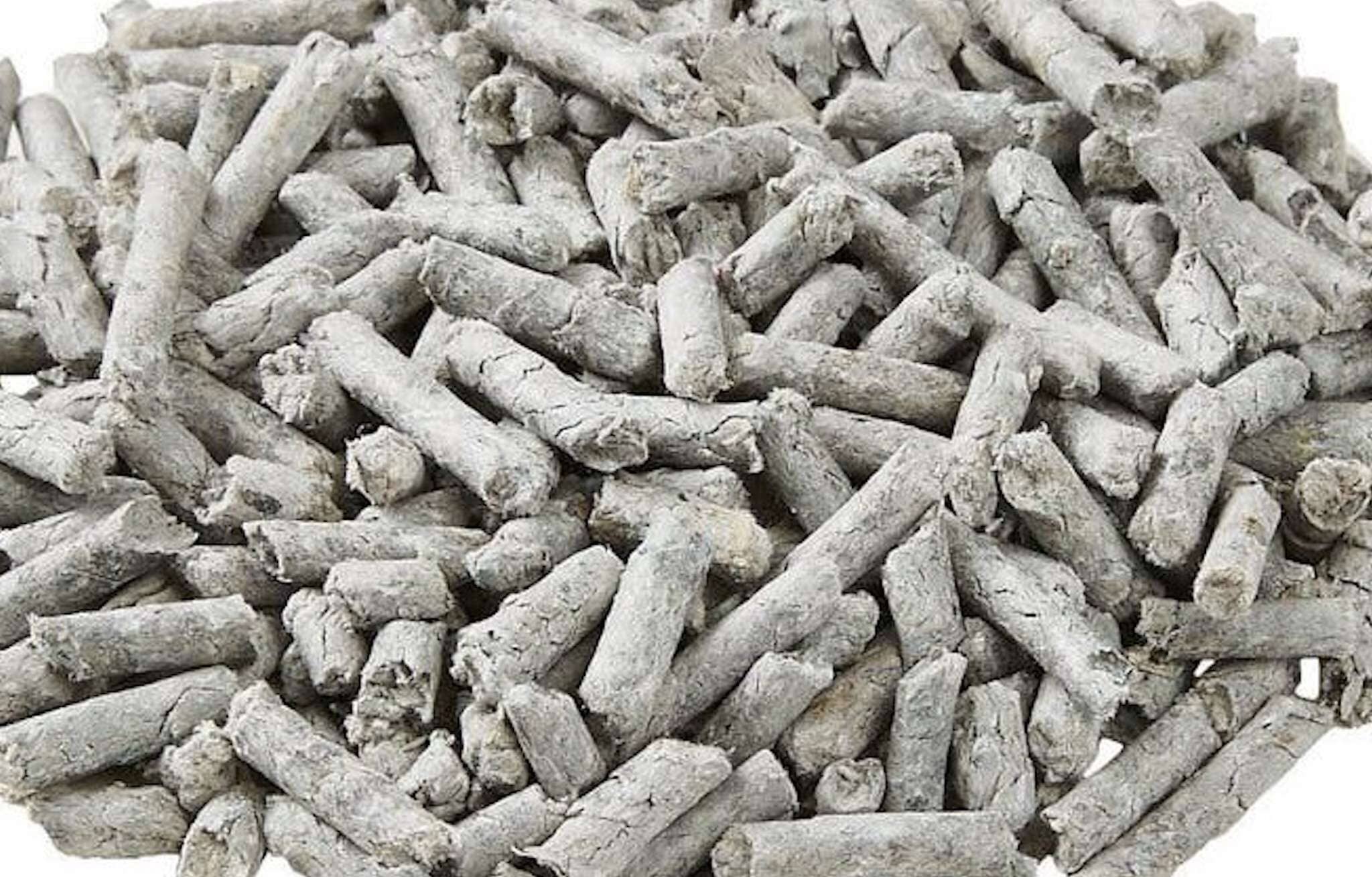 Paper Cat Litter: Everything You Need to Know – tuft + paw