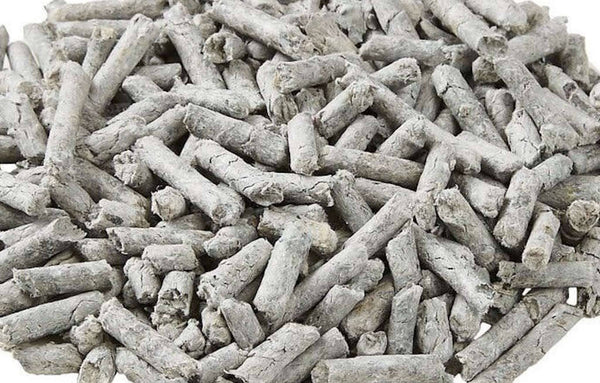 Paper Cat Litter: Everything You Need to Know – tuft + paw