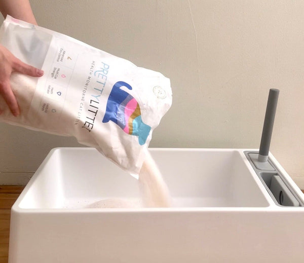Pretty Litter Review The Ultimate Guide to the Favorite Cr