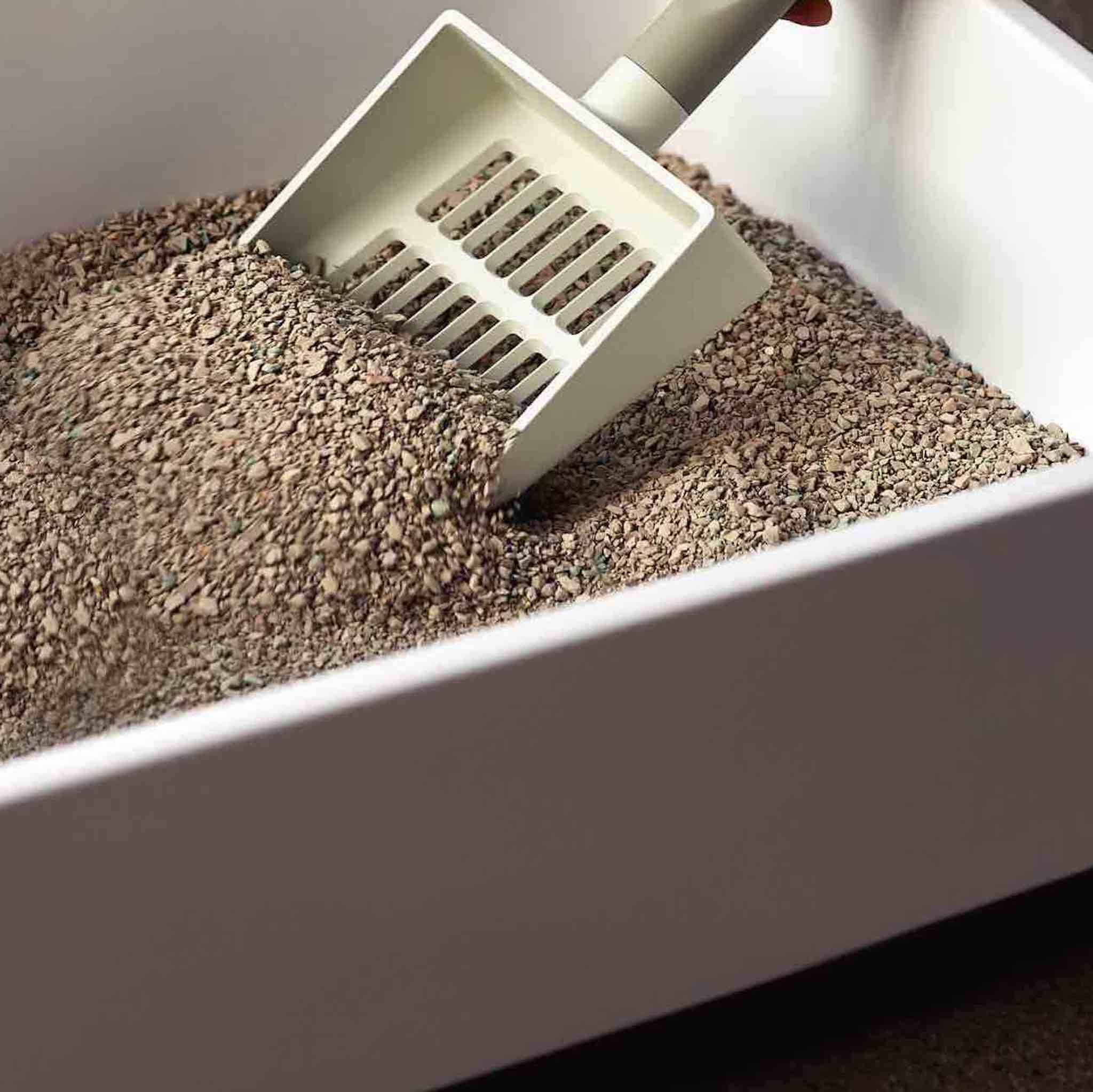 Cat clay litter deals
