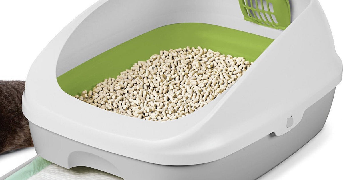 Tidy Cats Breeze Litter Box & Pellets: Everything You Need to Know