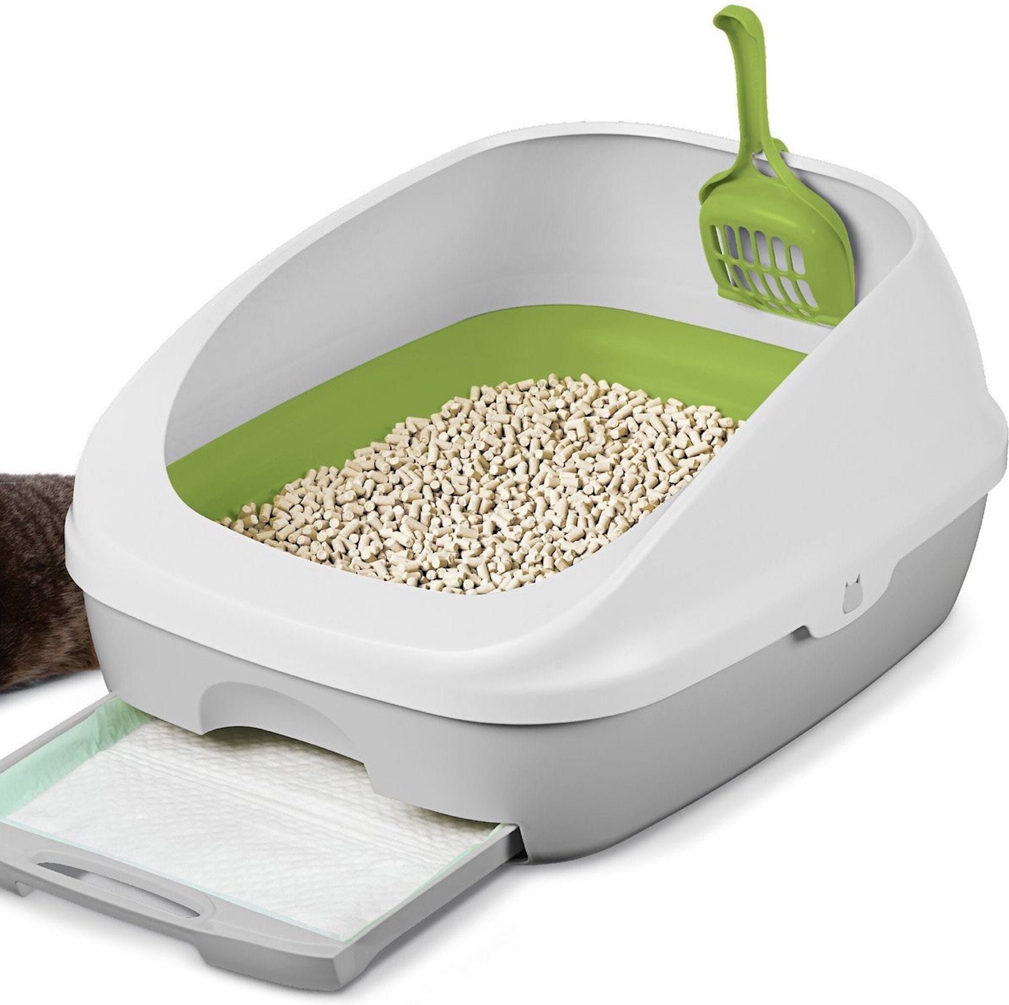 Tidy Cats Breeze Litter Box & Pellets: Everything You Need to Know