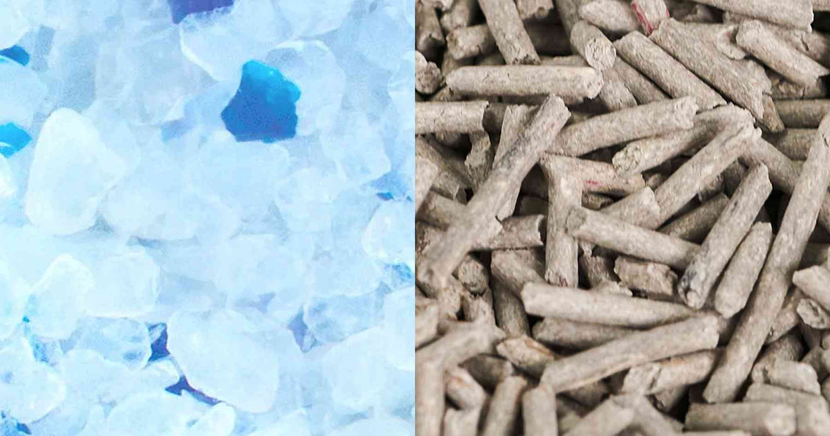 Genius Litter vs tuft + paw’s Really Great Cat Litter