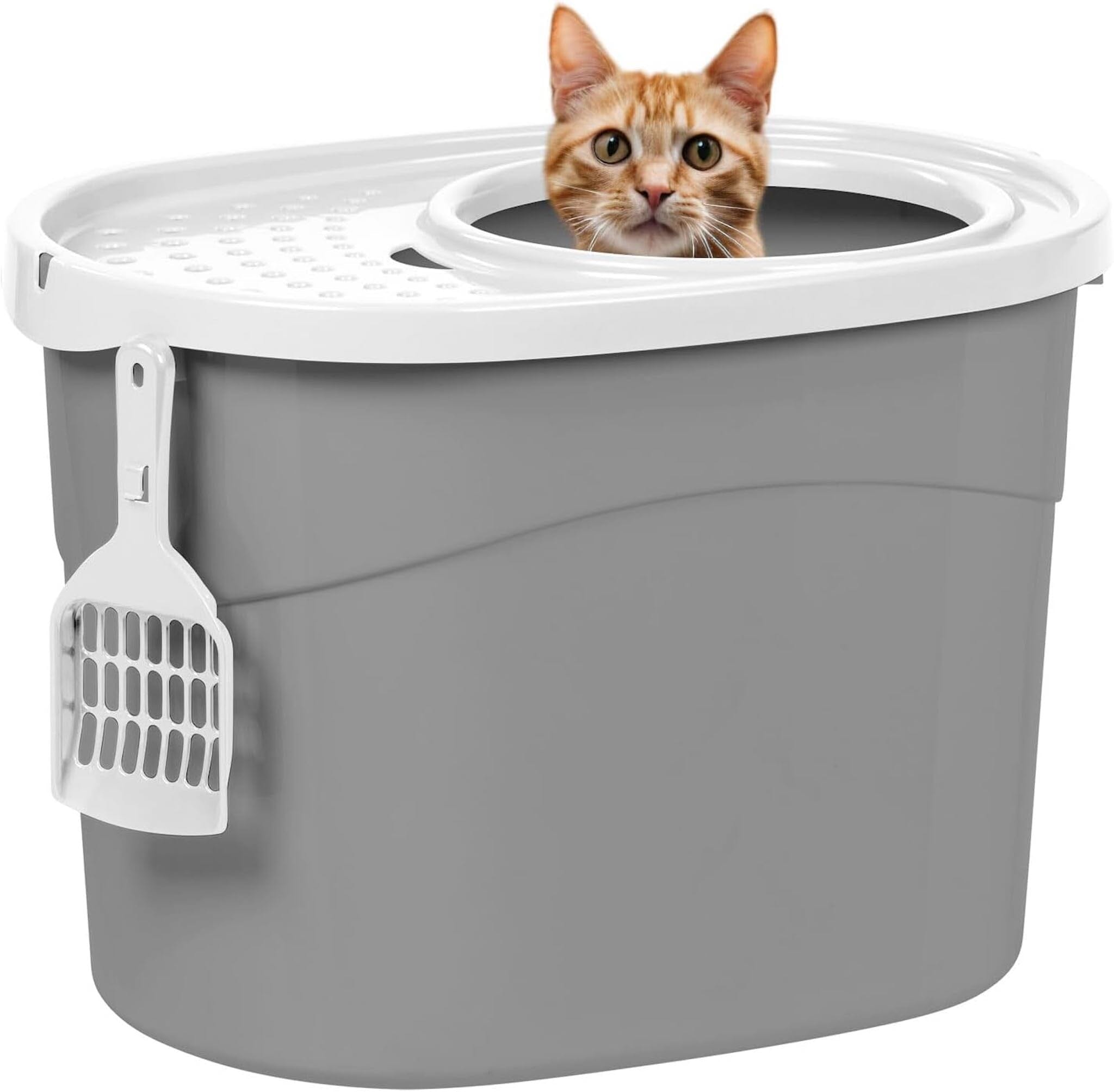 Pros And Cons of Top Entry Litter Box: Ultimate Pet Guide Pros And Cons of Top Entry Litter Box: Ultimate Pet Guide