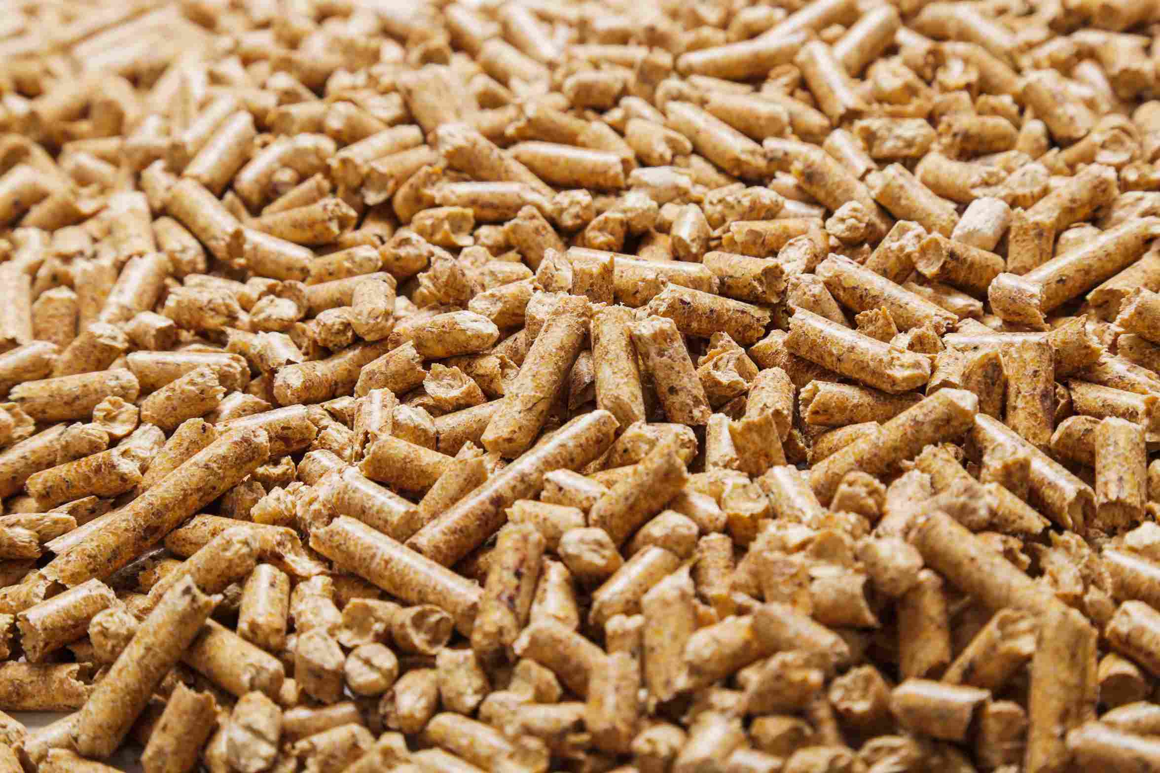 Tractor Supply Pine Pellets: Cheap Cat Litter Alternative? – Tuft & Paw