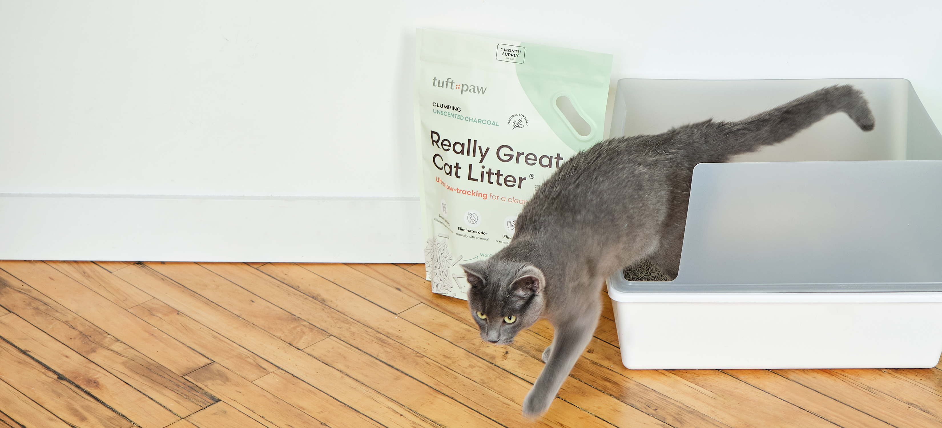 White cat stepping out of a litter box beside a bag of cat litter.