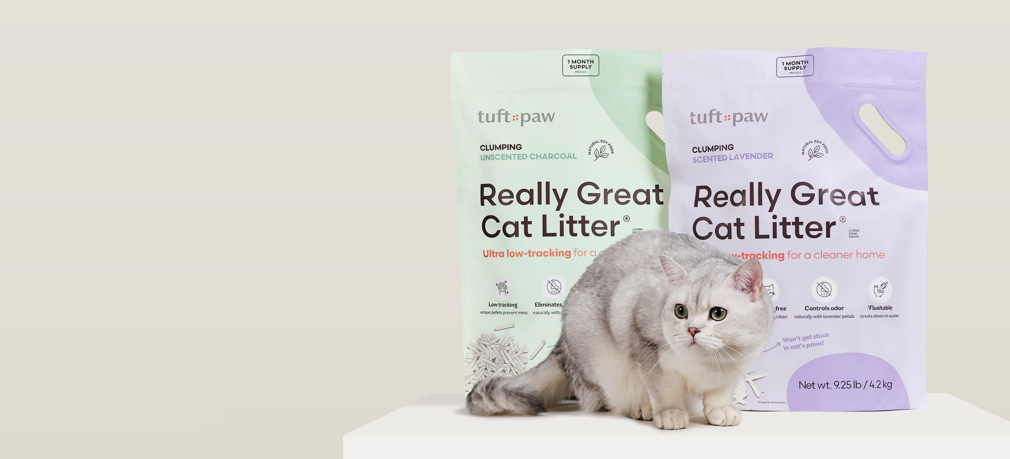 White cat stepping out of a litter box beside a bag of cat litter.