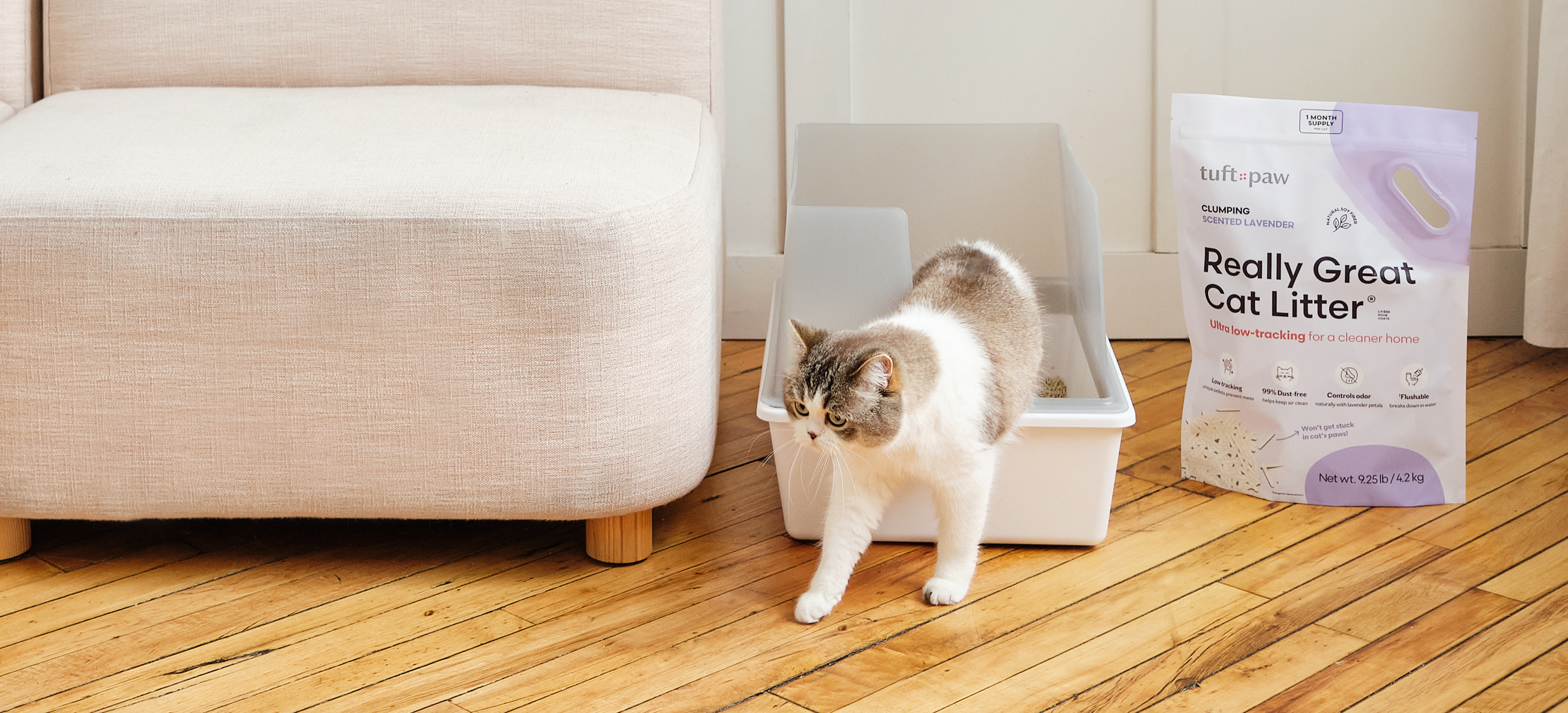 White cat stepping out of a litter box beside a bag of cat litter.