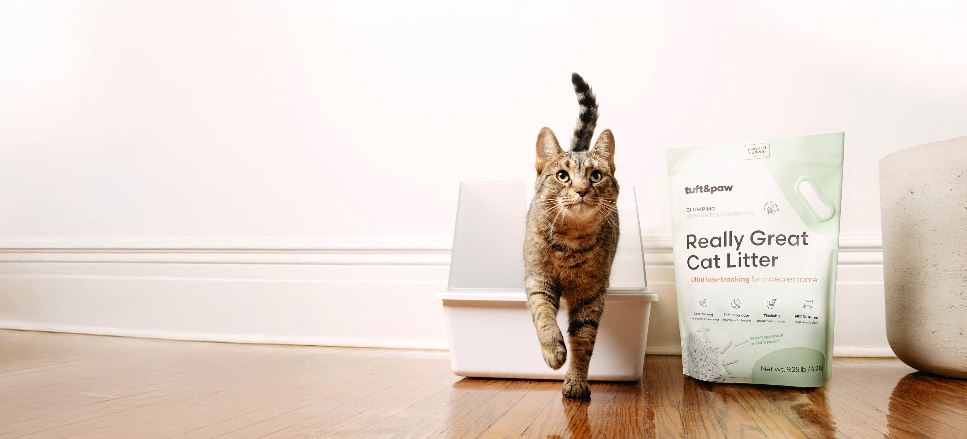 White cat stepping out of a litter box beside a bag of cat litter.