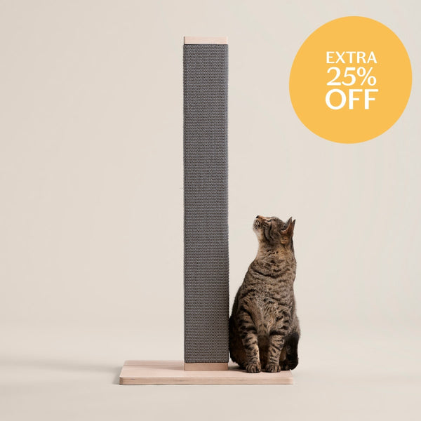 Modern scratch post clearance