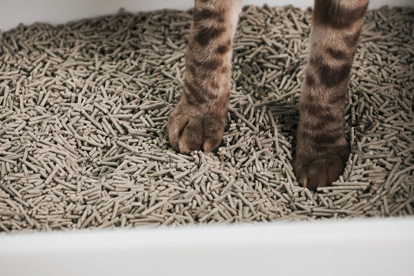 Rectangular cat litter tray with shovel