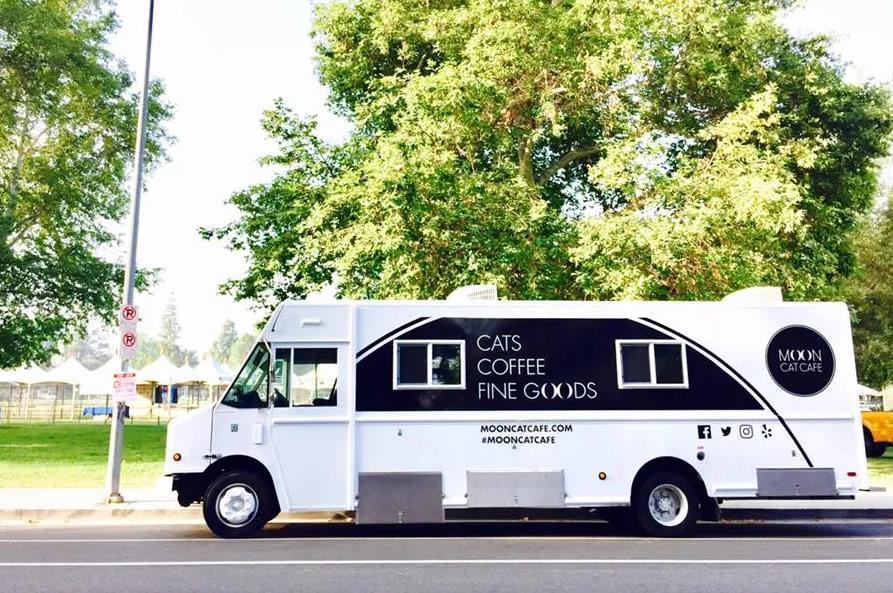 The Story Behind Moon Cat Cafe tuft + paw