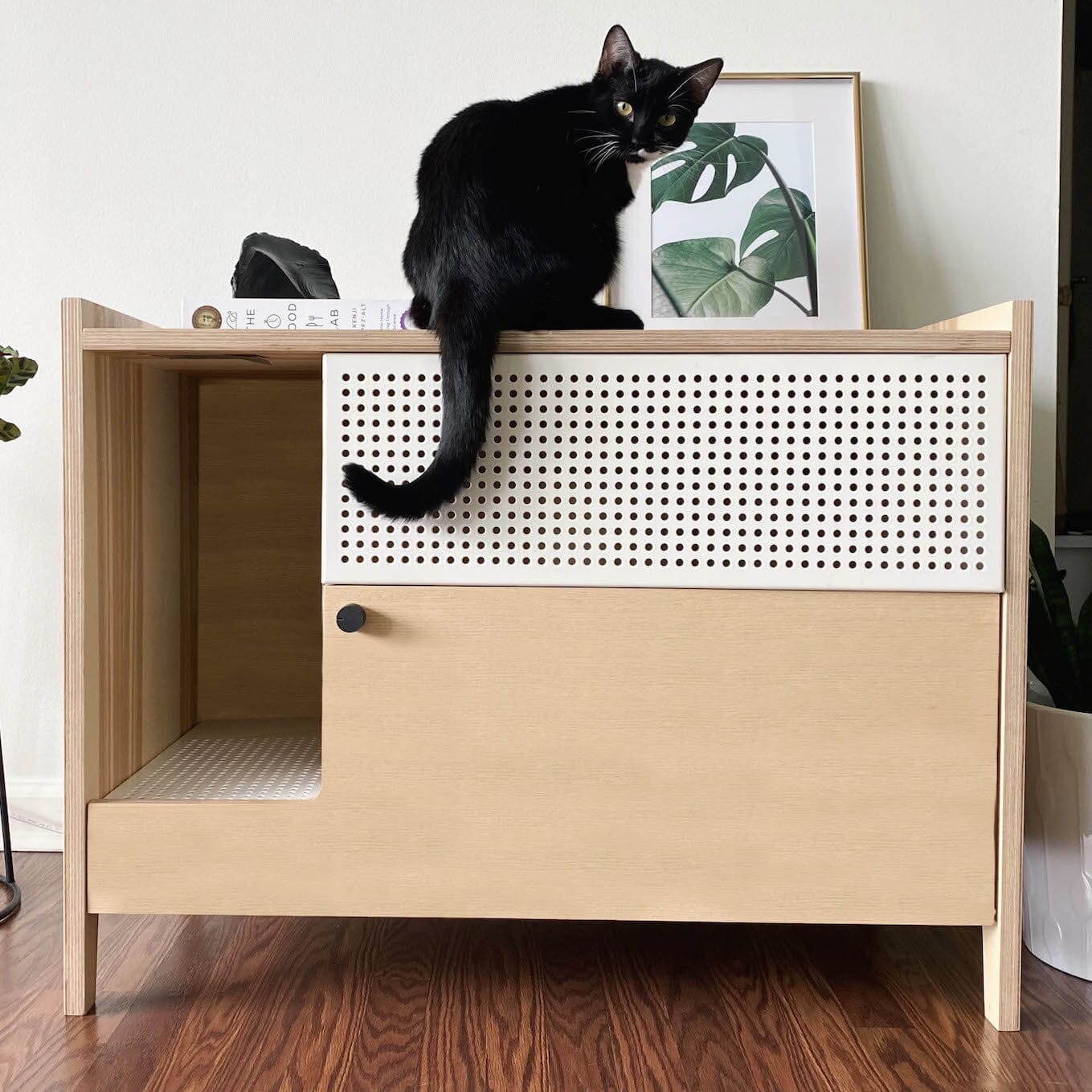 5 Best Hidden Cat Litter Box Furniture & Enclosures of 2024 – tuft + paw