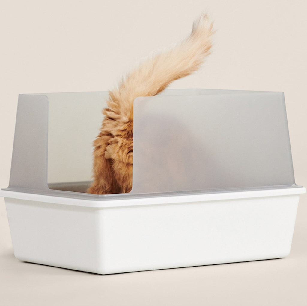 6 Best Kitten Litter Boxes in 2024 – tuft + paw