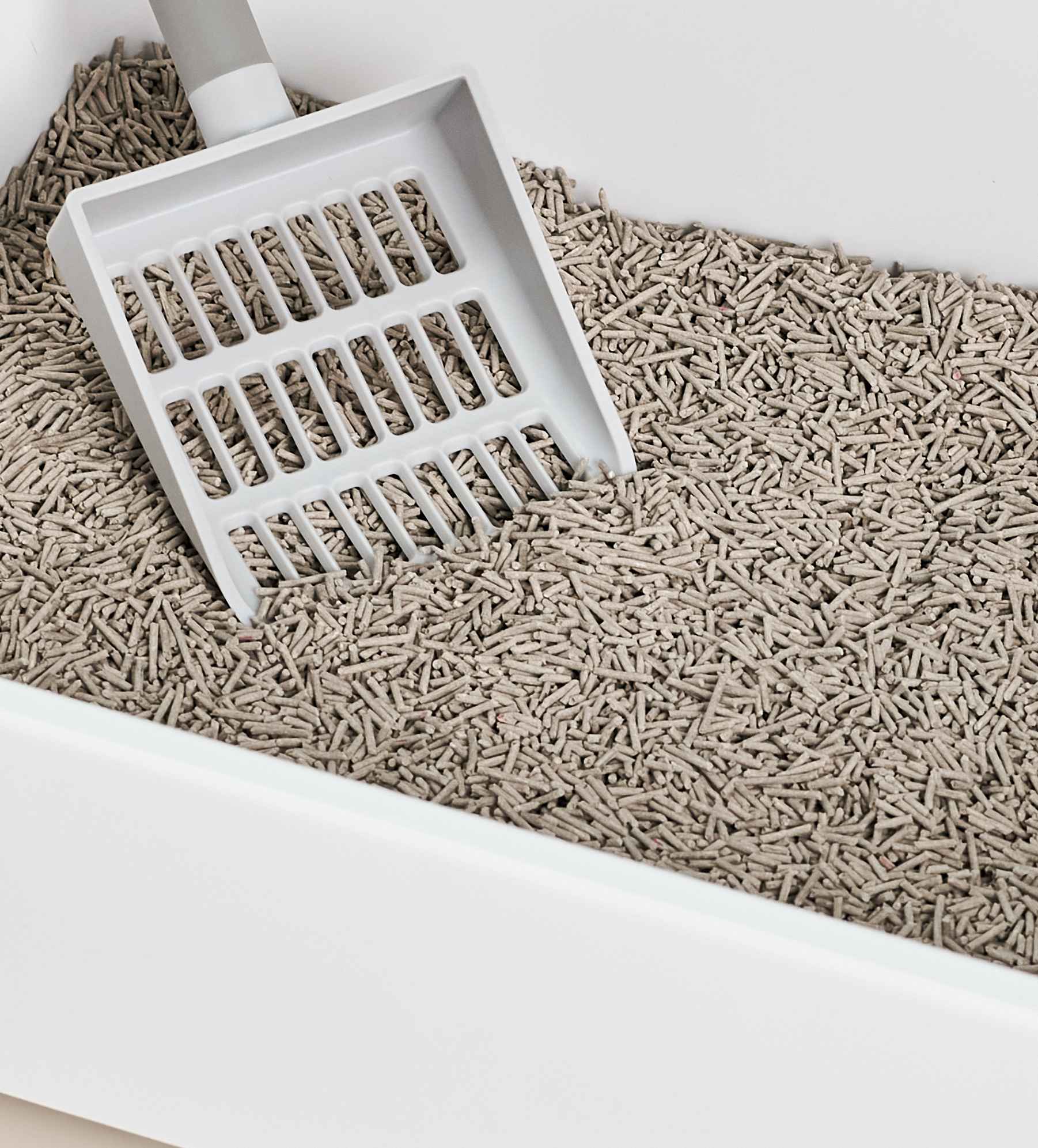 5 Best Pellet Cat Litters to Stop Tracking in 2024  Tuft & Paw