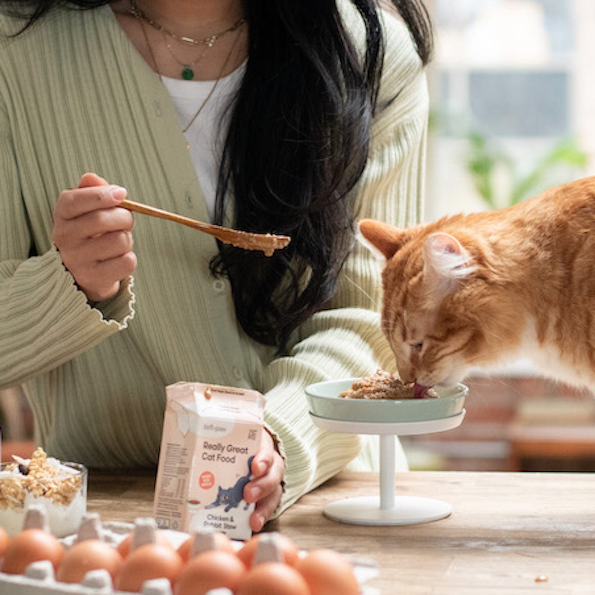 Best Cat Food for Seniors Choosing the right diet for older cats Best Cat Food for Seniors Choosing the right diet for older cats