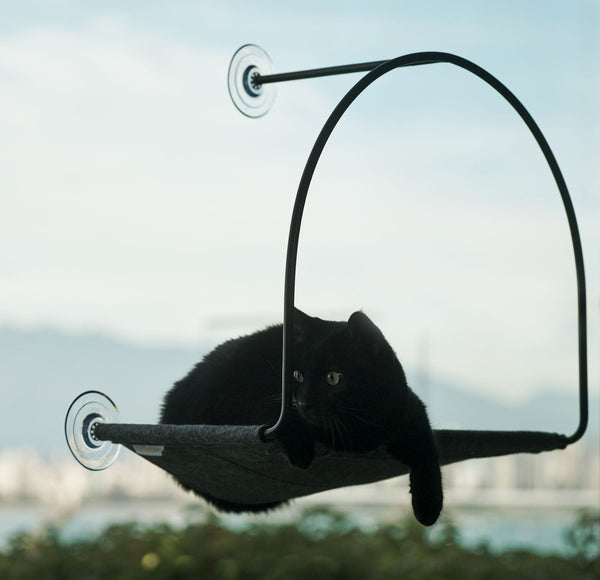 5 Best Cat Window Hammocks & Perches of 2024 tuft + paw