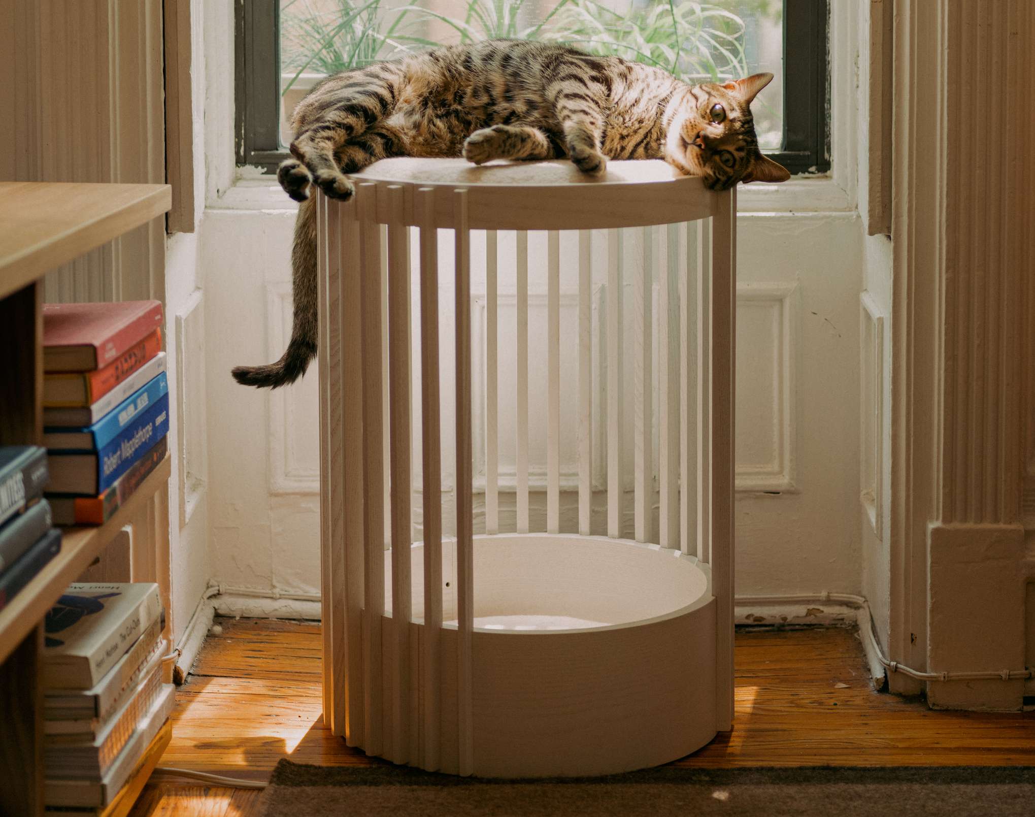 5 Best Real Wood Cat Trees of 2024 – tuft + paw