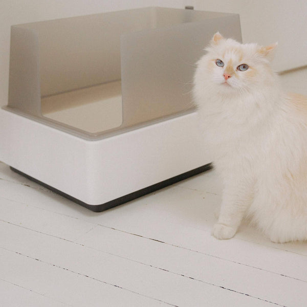 Ultimate Guide to Stop Cat Litter Tracking tuft + paw