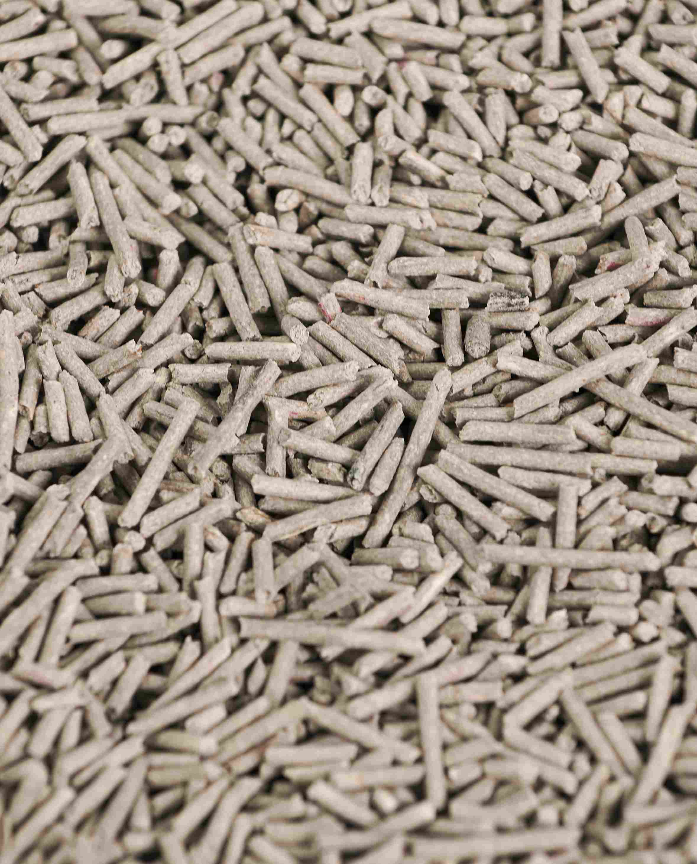 up close shot of grey pieces of tofu kitty litter