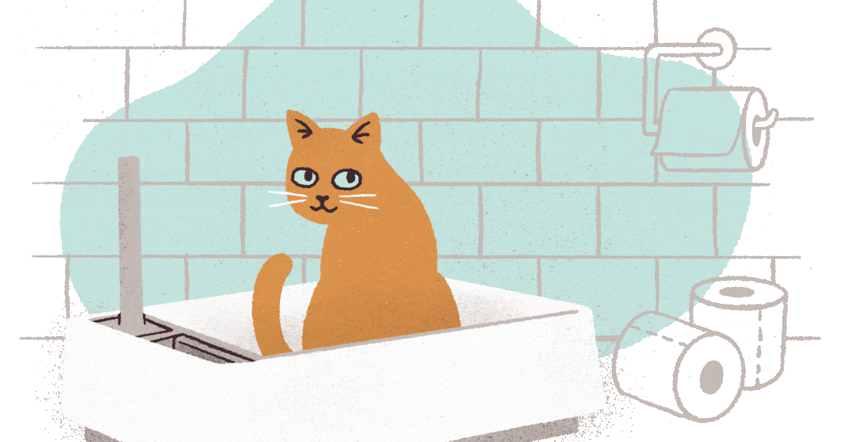 Litter Box Essentials – Tuft & Paw