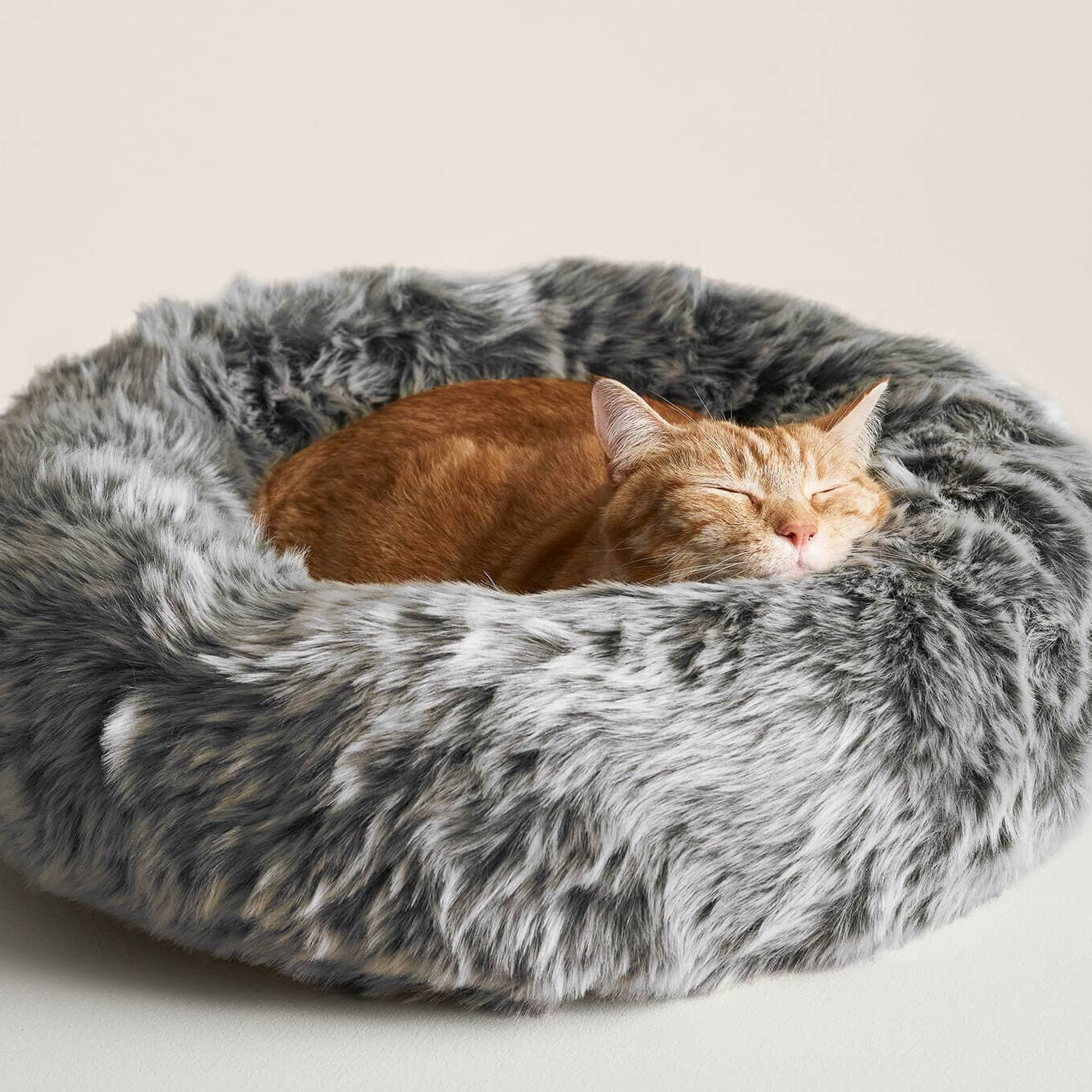 Nuzzle Modern Cat Bed
