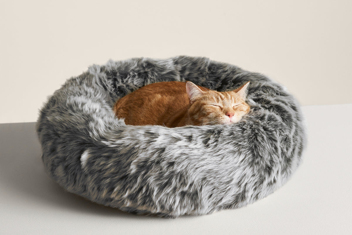 Nuzzle Modern Cat Bed