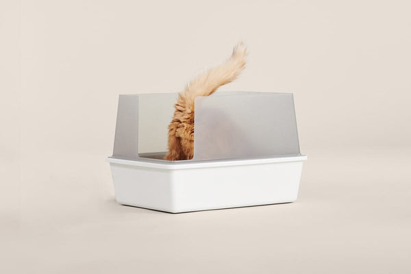Tuft Box Cubby Litter Box – tuft + paw