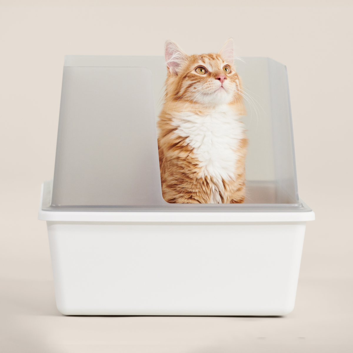 Cubby Litter Box – Tuft & Paw