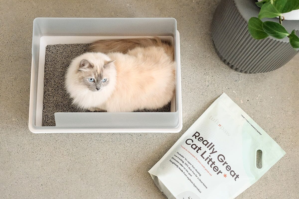 Tuft Box Cubby Litter Box – tuft + paw