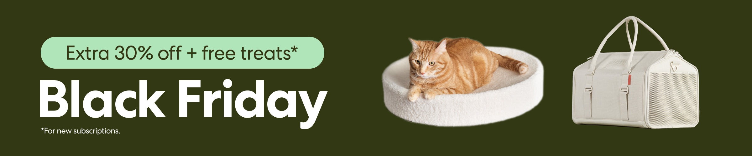 Black cat beside 'Black Friday' text with 25% off sitewide bubbles.