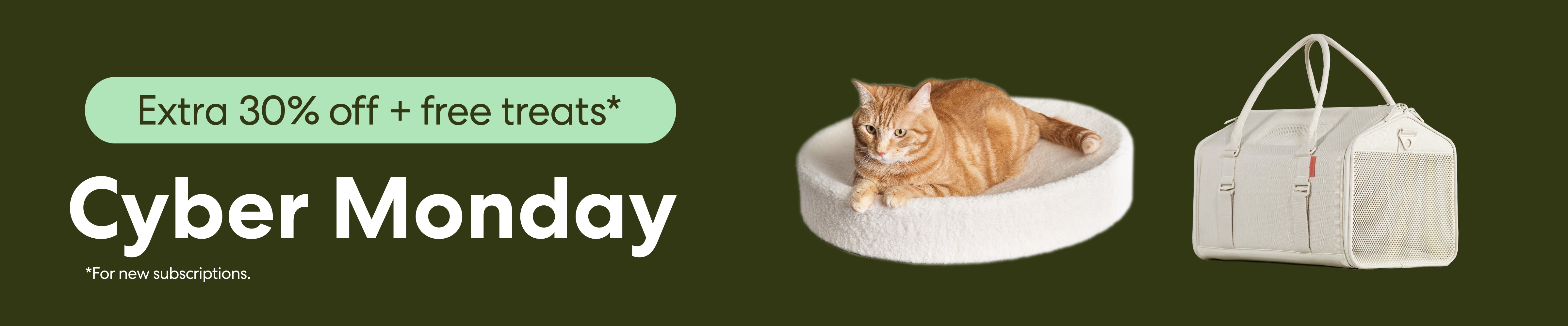 Black cat beside 'Black Friday' text with 25% off sitewide bubbles.