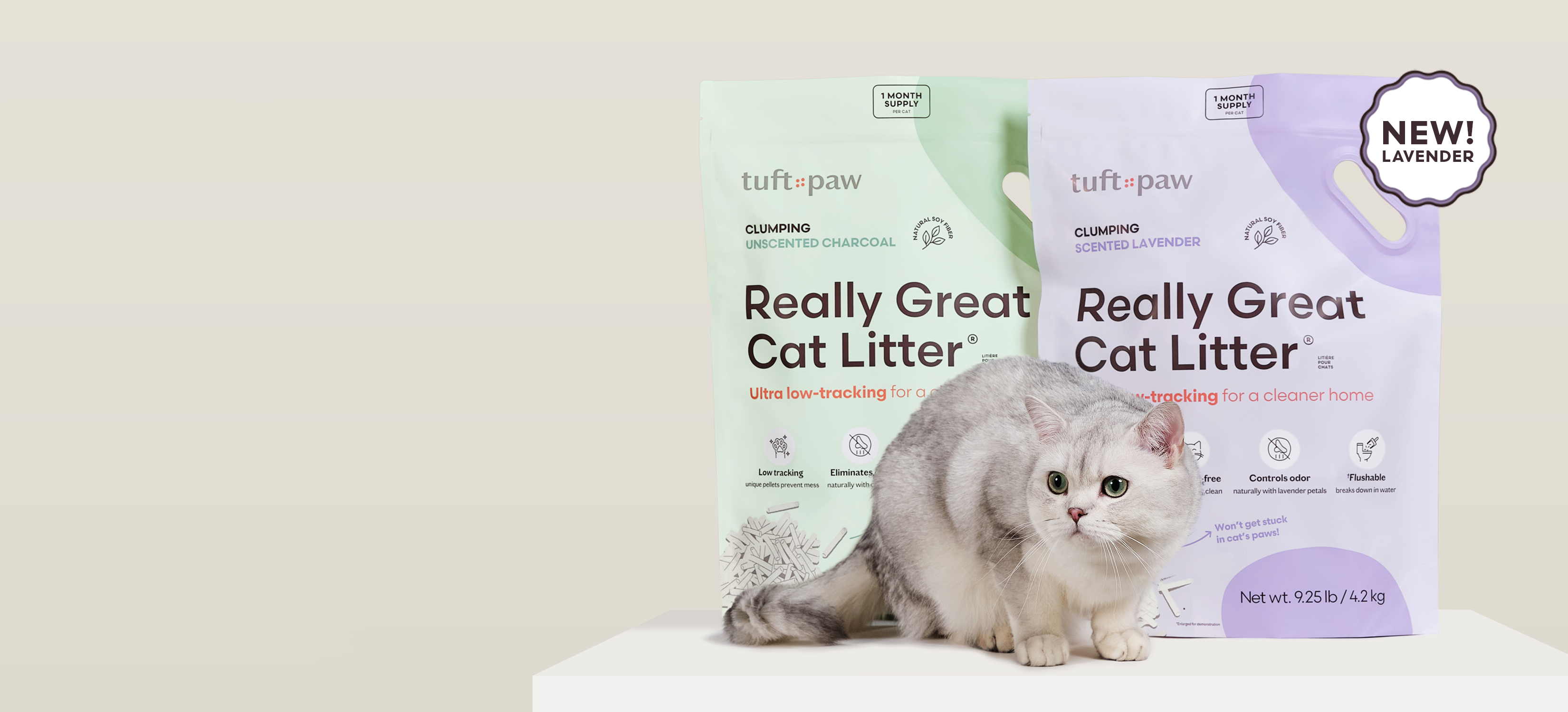 White cat stepping out of a litter box beside a bag of cat litter.