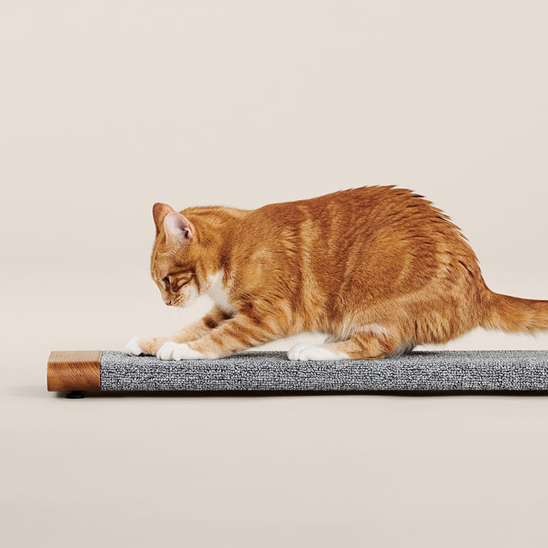 Tuft and Paw Tab scratching board