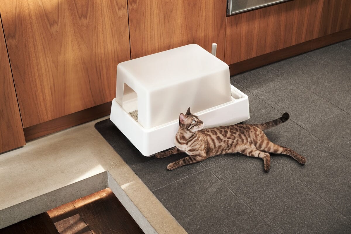 Tuft Box Cove Modern Litter Box – tuft + paw