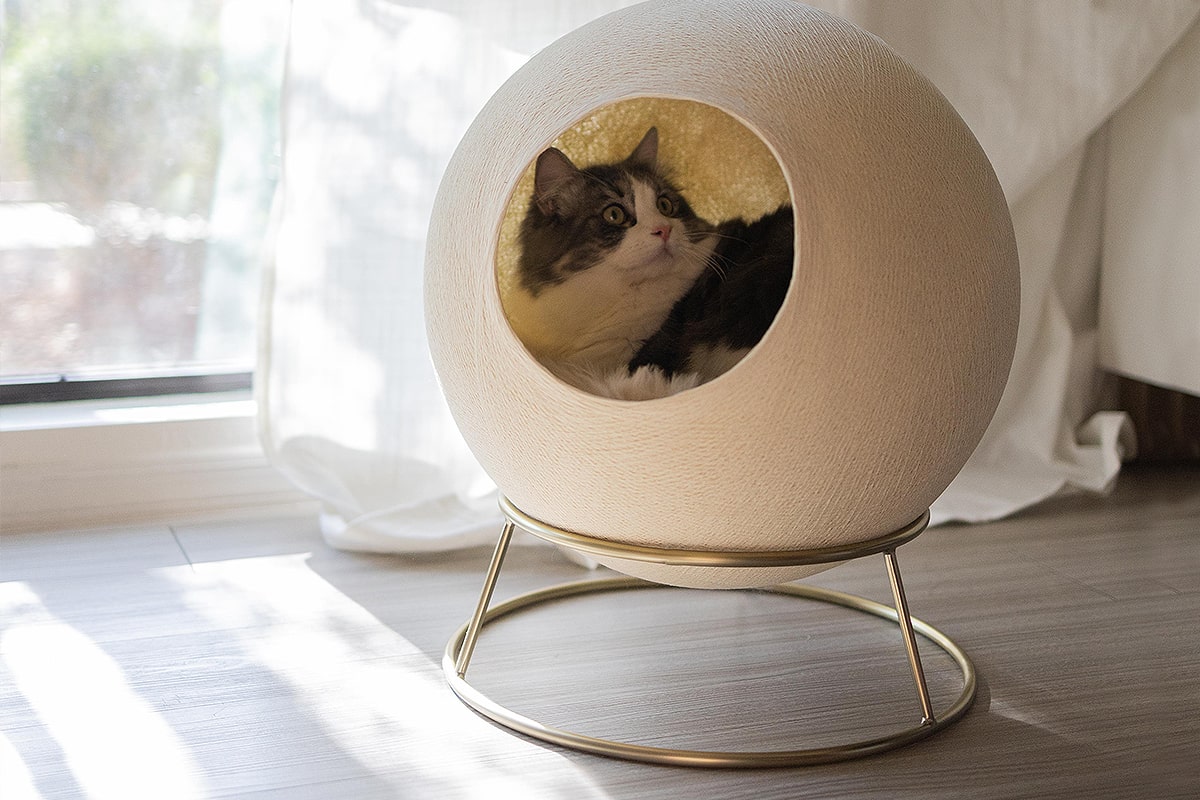 Stellar Modern Cat Bed – tuft + paw