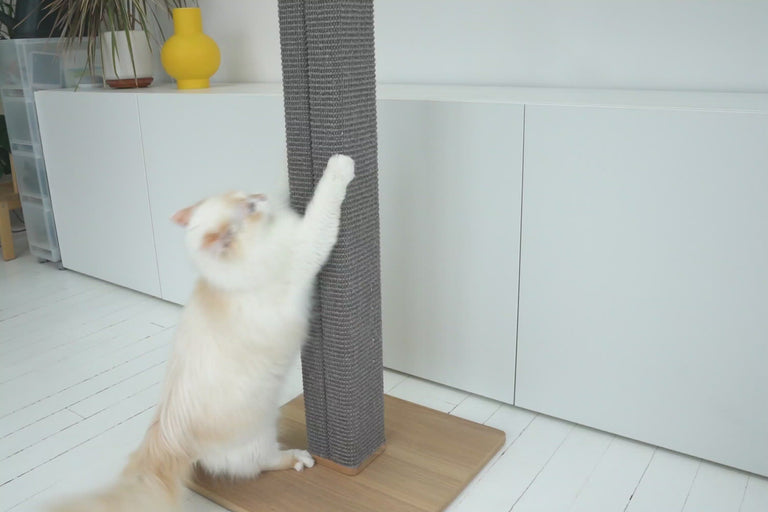 Zip Modern Scratching Post – Tuft & Paw